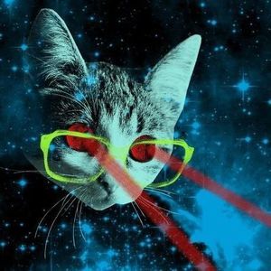 Meet your Posher, Oliver